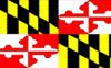 The flag of the state of Delaware with a blue background and a central coat of arms.