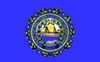 The flag of the state of Delaware with a blue background and a central coat of arms.