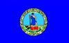 The flag of the state of Delaware with a blue background and a central coat of arms.