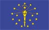 The flag of the state of Delaware with a blue background and a central coat of arms.