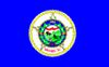 The flag of the state of Delaware with a blue background and a central coat of arms.