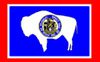 The flag of the state of Delaware with a blue background and a central coat of arms.